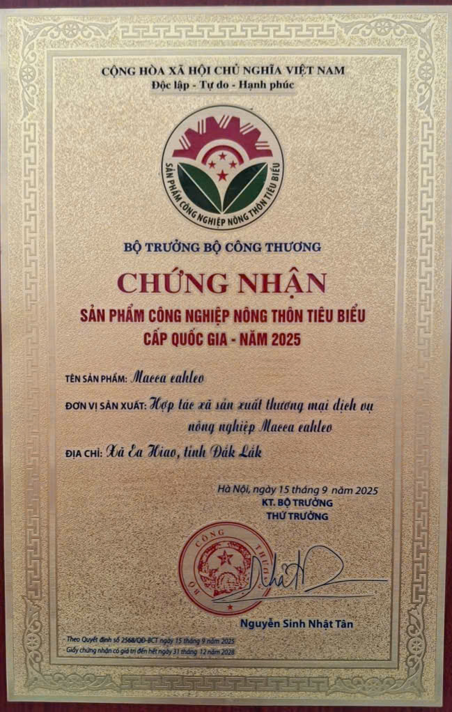 Hạt Mắc Ca Sấy Nứt Vỏ Macca EaHleo - Đặc Sản OCOP 4 Sao Thượng Hạng Từ Đất Đỏ Tây Nguyên - Ảnh 3