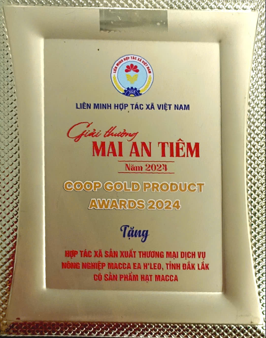 Hạt Mắc Ca Sấy Nứt Vỏ Macca EaHleo - Đặc Sản OCOP 4 Sao Thượng Hạng Từ Đất Đỏ Tây Nguyên - Ảnh 2