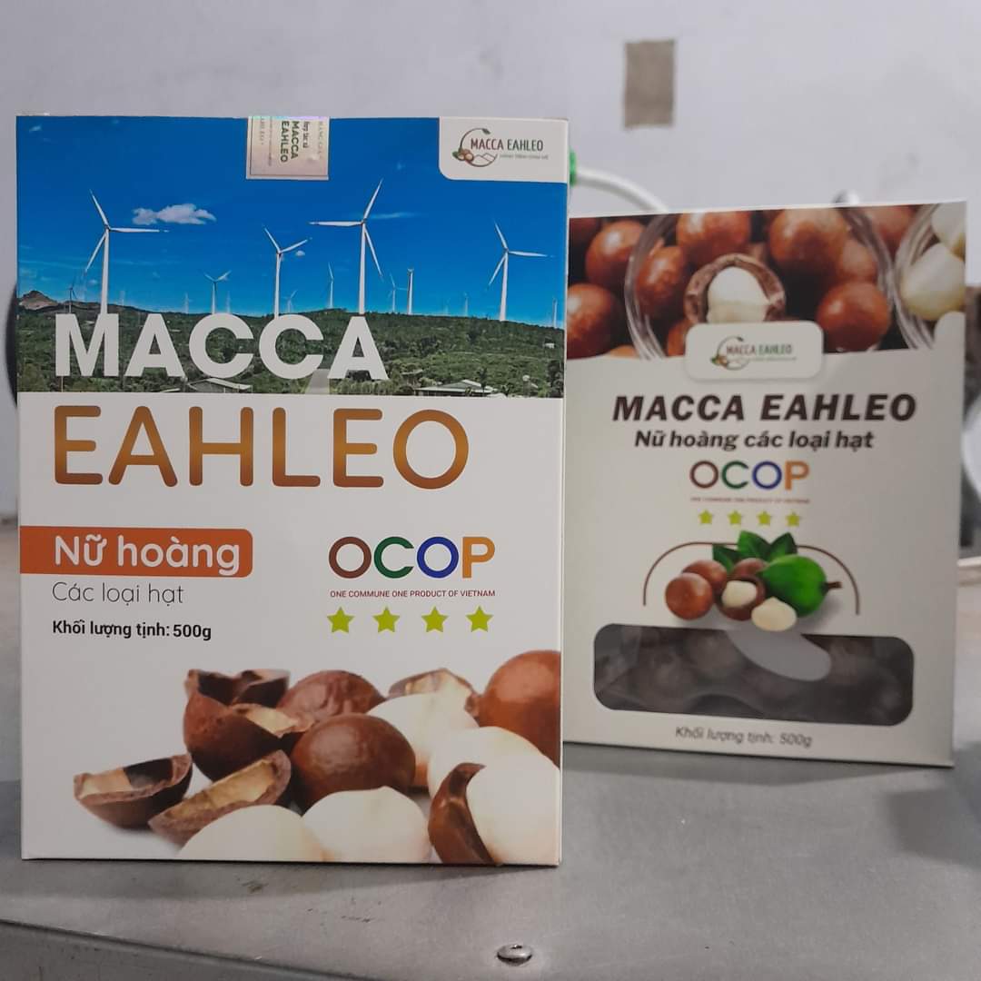 Hạt Mắc Ca Sấy Nứt Vỏ Macca EaHleo - Đặc Sản OCOP 4 Sao Thượng Hạng Từ Đất Đỏ Tây Nguyên - Ảnh 6